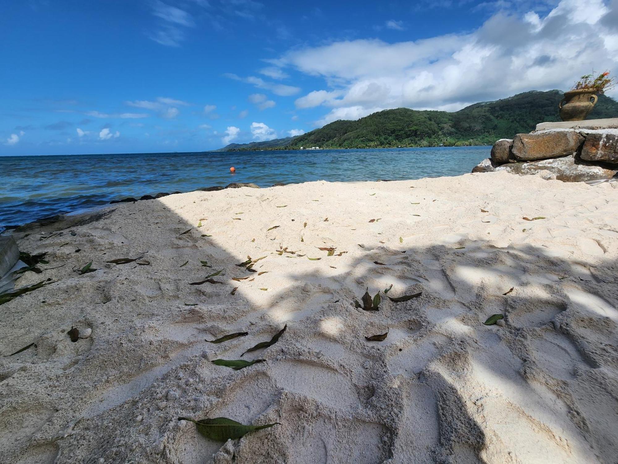 Duplex En Bord De Mer Fare Tahitea Pension Taputapuapea Eksteriør bilde